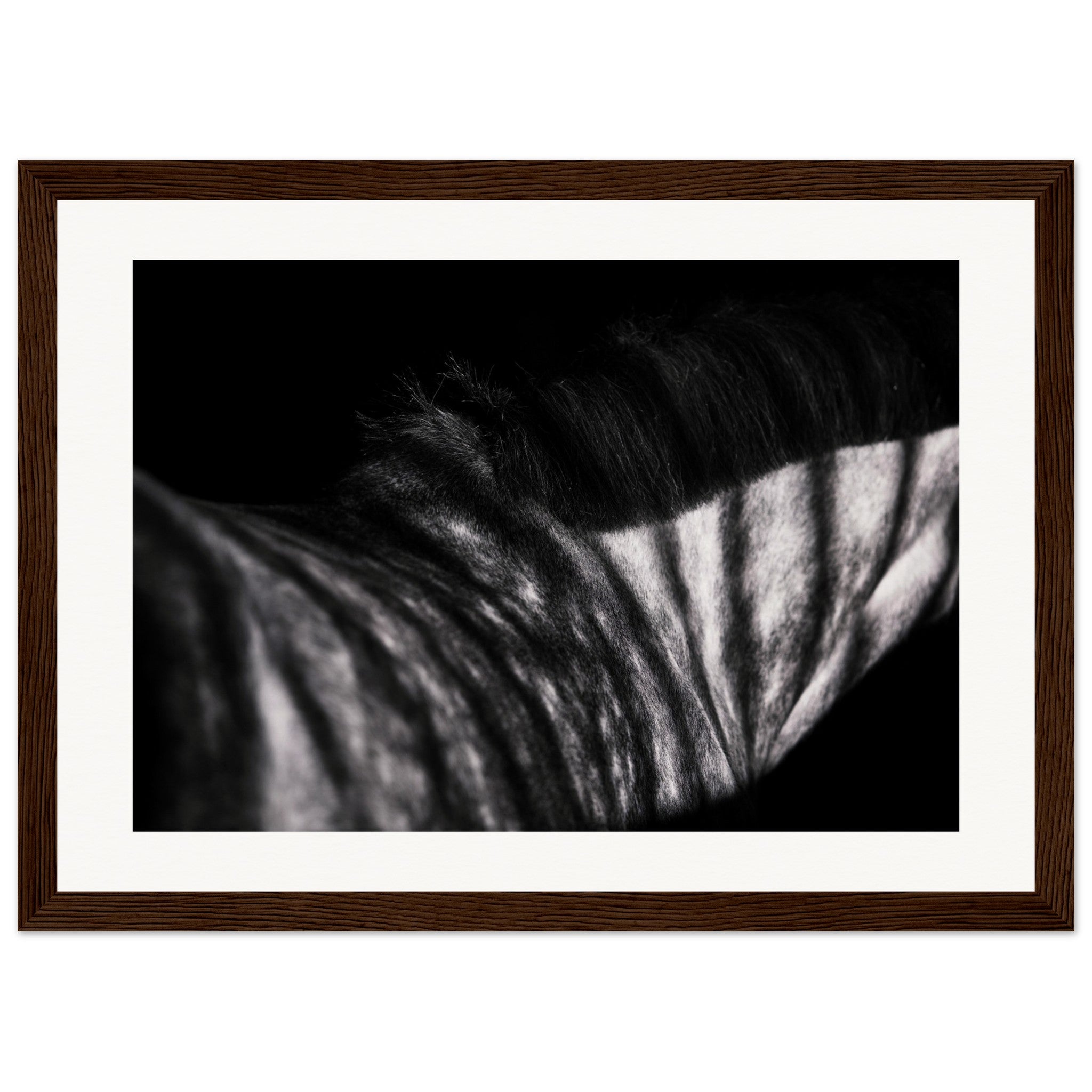 34e0c1ae-2885-4947-9f2c-1848b32712bc