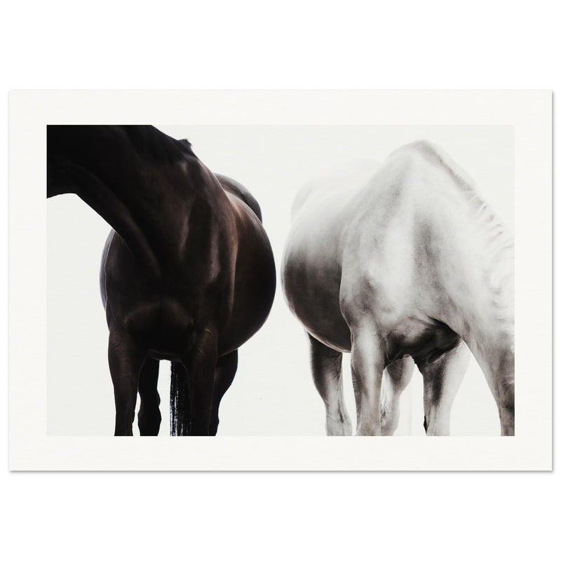 34f5a160-20df-4a1b-889f-4cb5830434e7