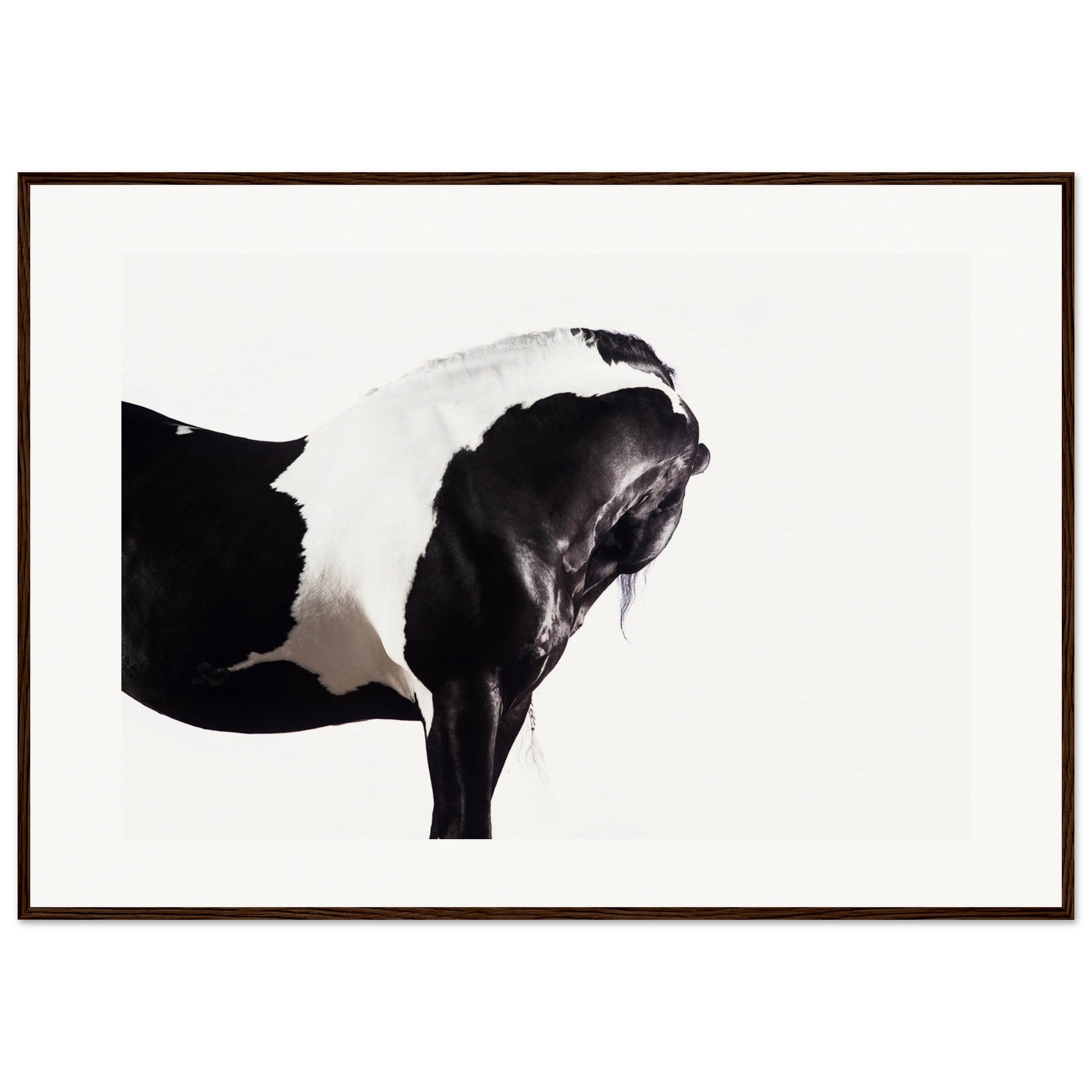 3554be02-3e05-4cd0-a1b6-e014d2d727ff