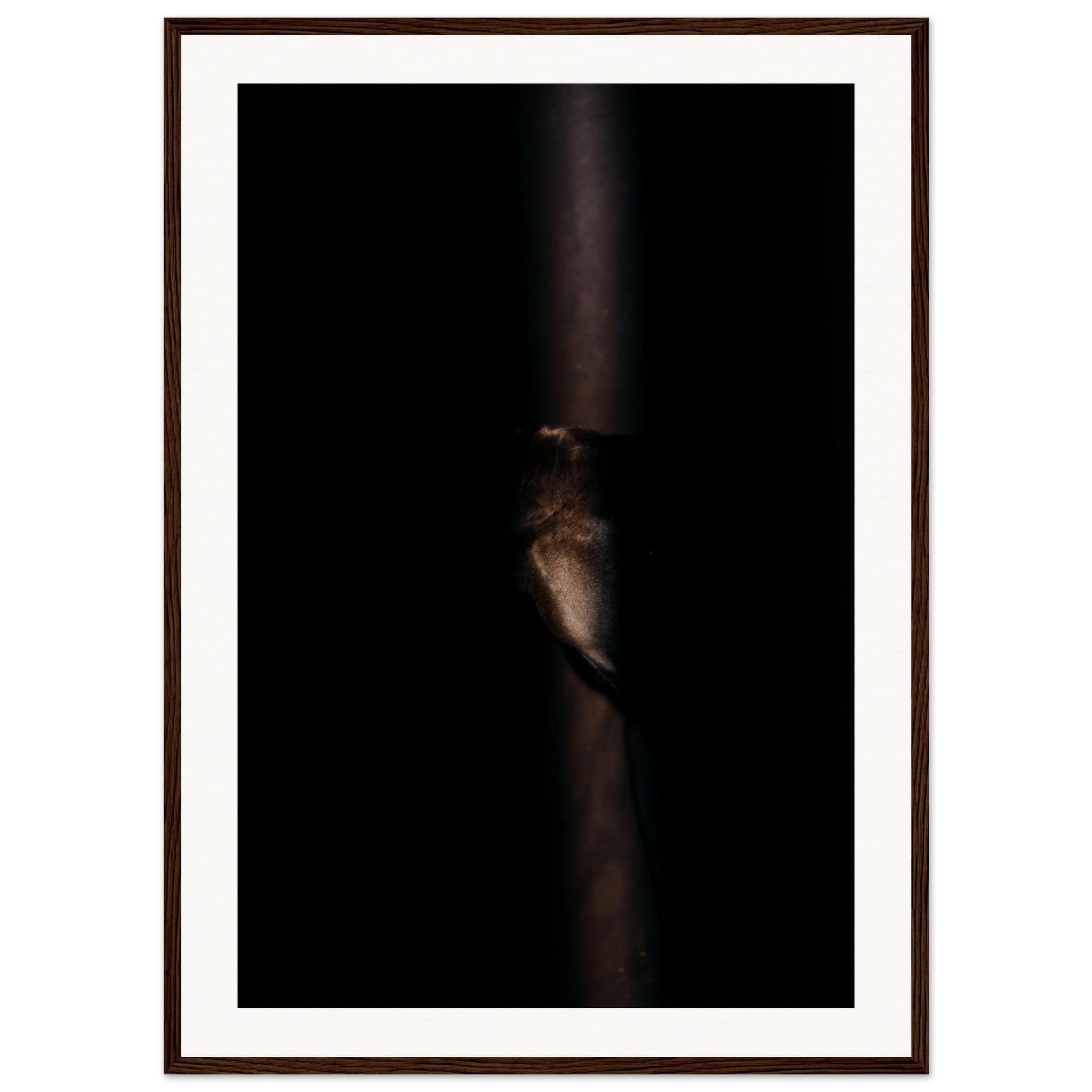 355f7c31-5947-4103-a1d1-f2e2b584ff5a