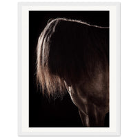 359b8a24-caee-4014-bb42-3ad5035d8dff