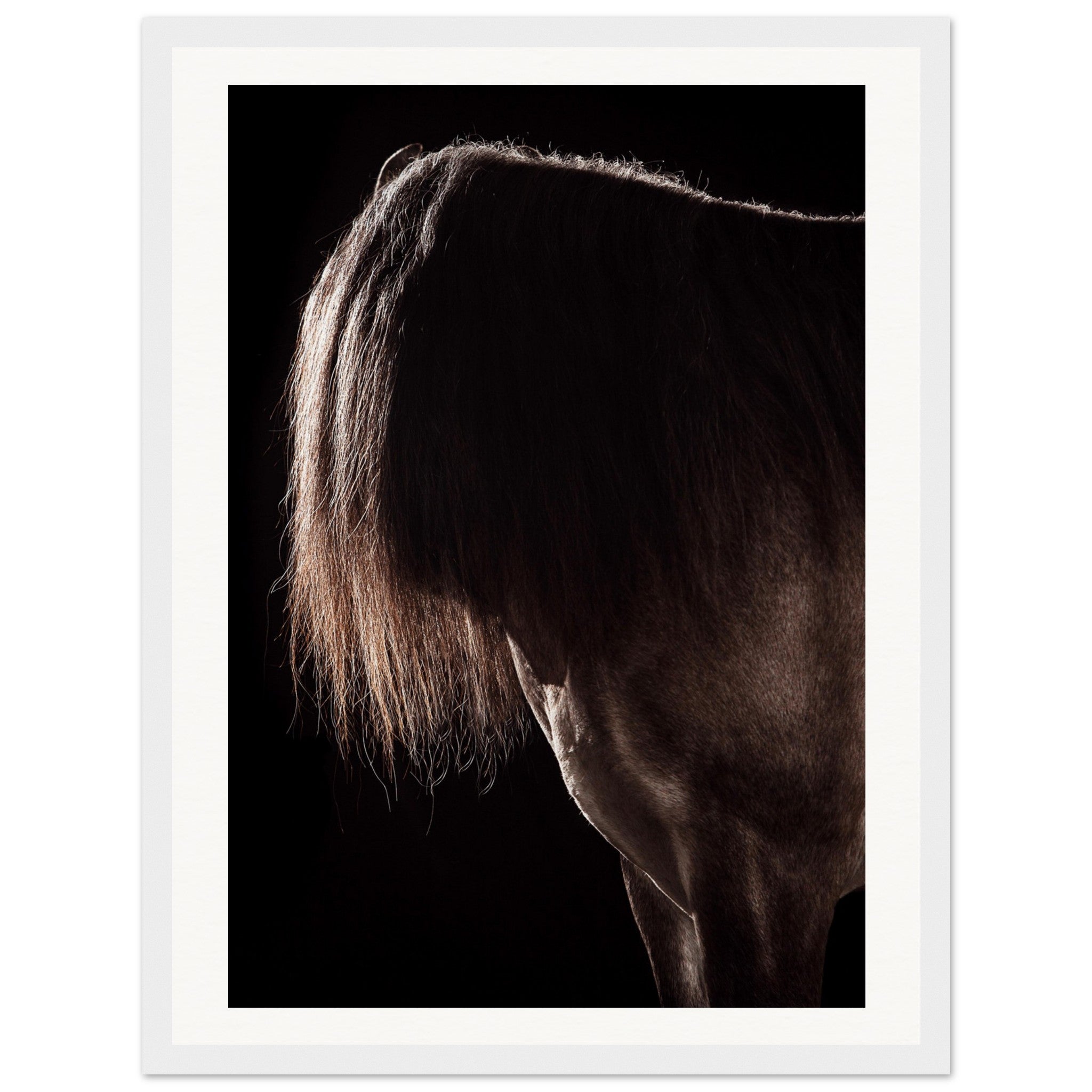 359b8a24-caee-4014-bb42-3ad5035d8dff