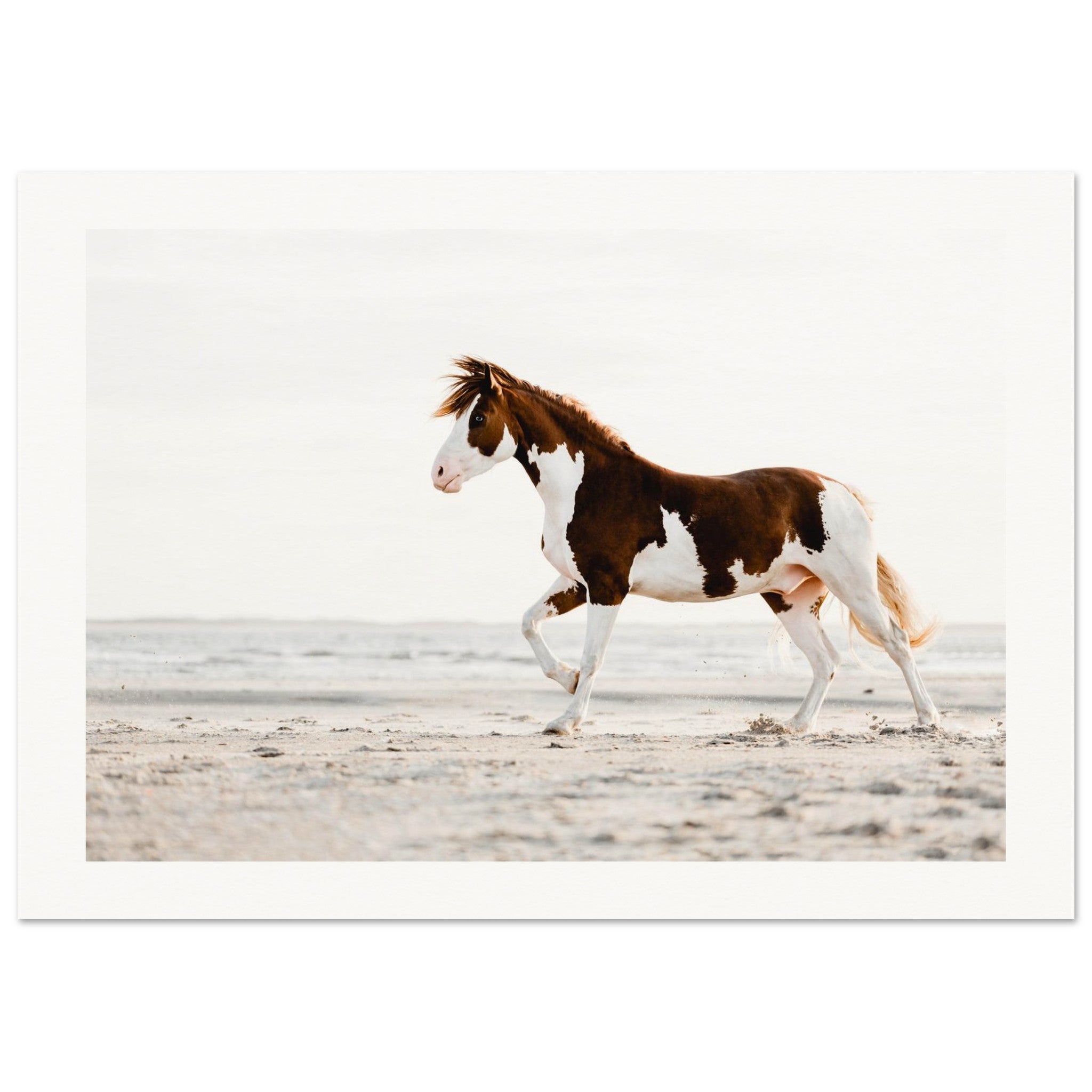 35aa4ae4-3988-45f1-a643-0b816dc5d88f