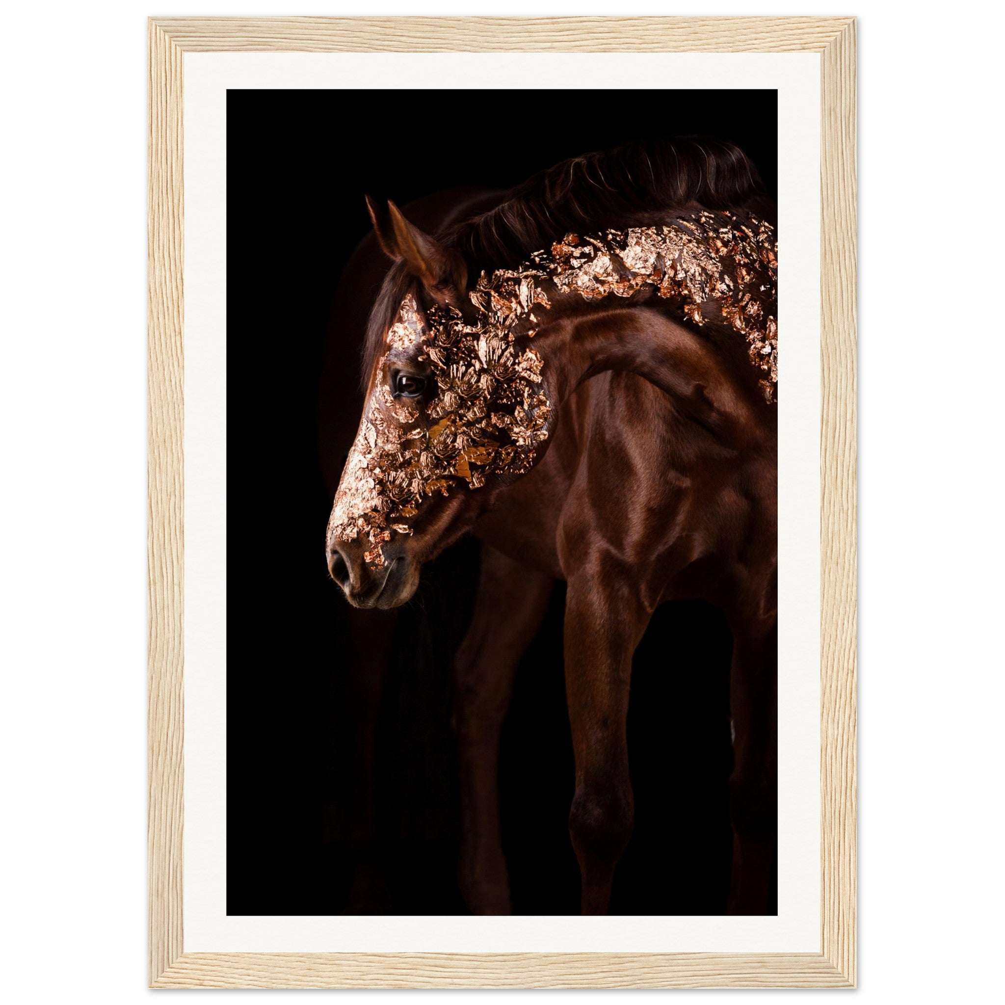 35b0b26b-9ffe-4aa7-a07d-665fe98af1bf