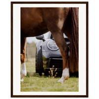 36072ad2-d5f3-45a9-8f4d-eac4eb388397