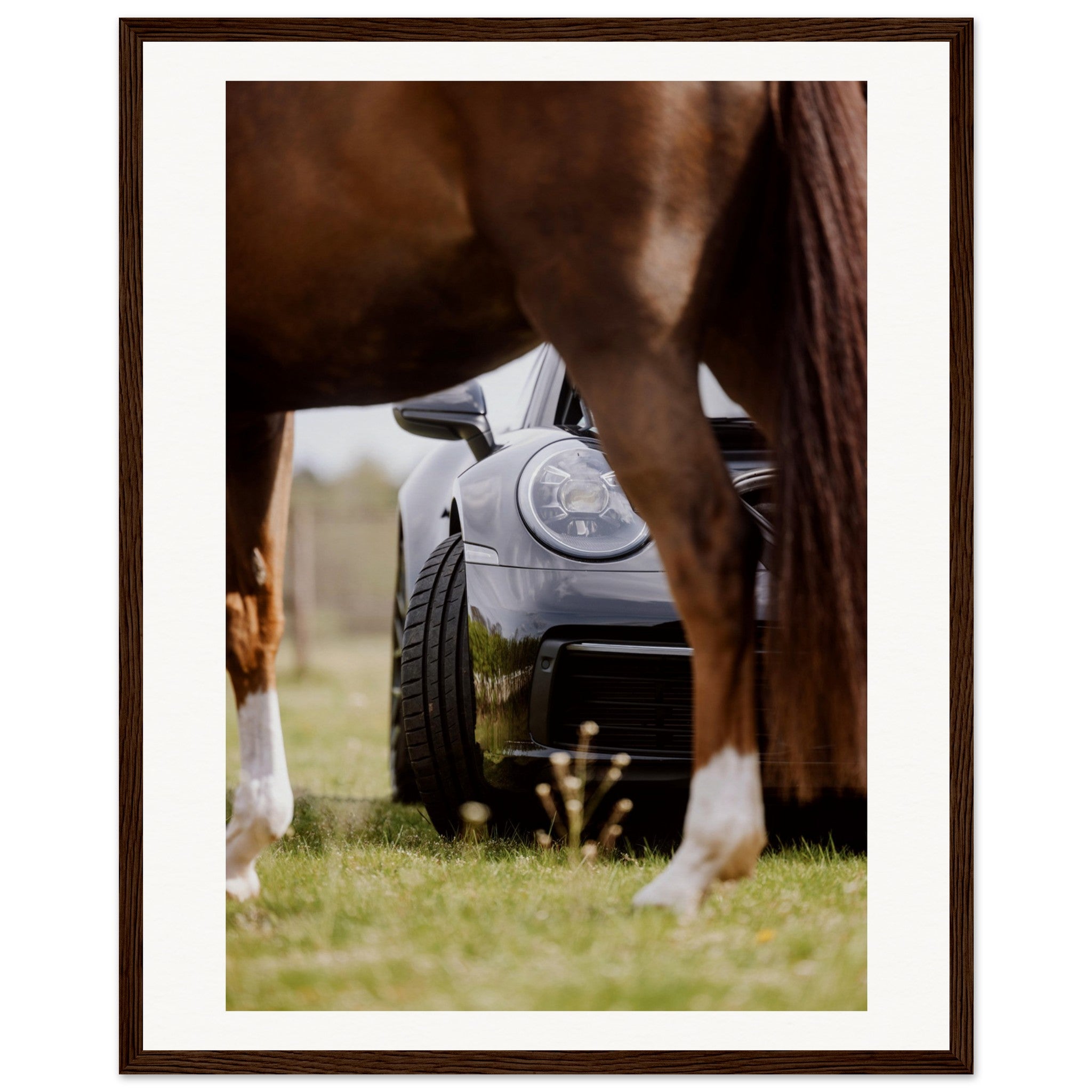 36072ad2-d5f3-45a9-8f4d-eac4eb388397