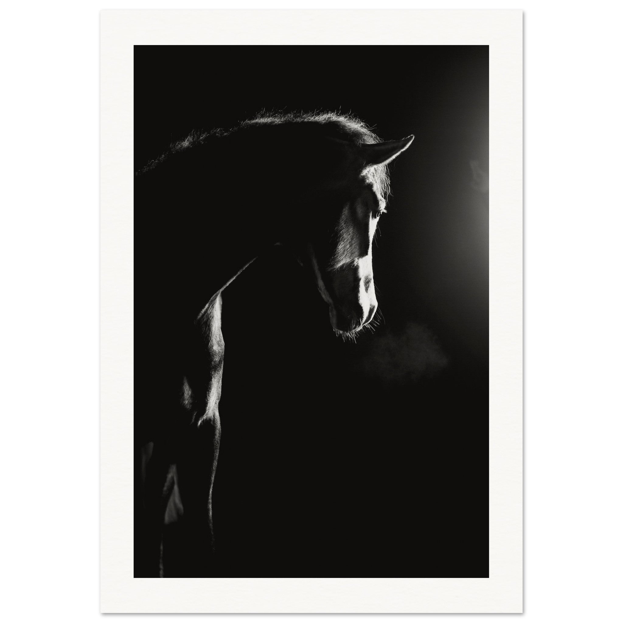 36072f0e-d56d-4c40-aa17-561a2032f59e