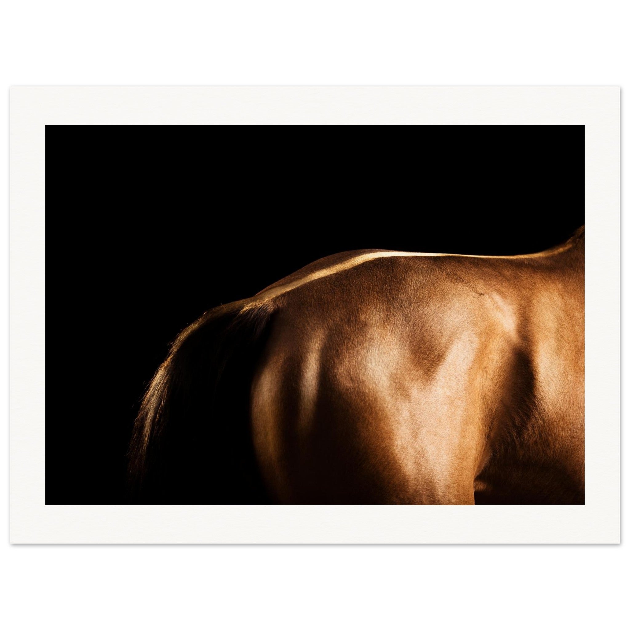 36605b3d-40c4-4daf-83f2-bf6f0d3a27ba