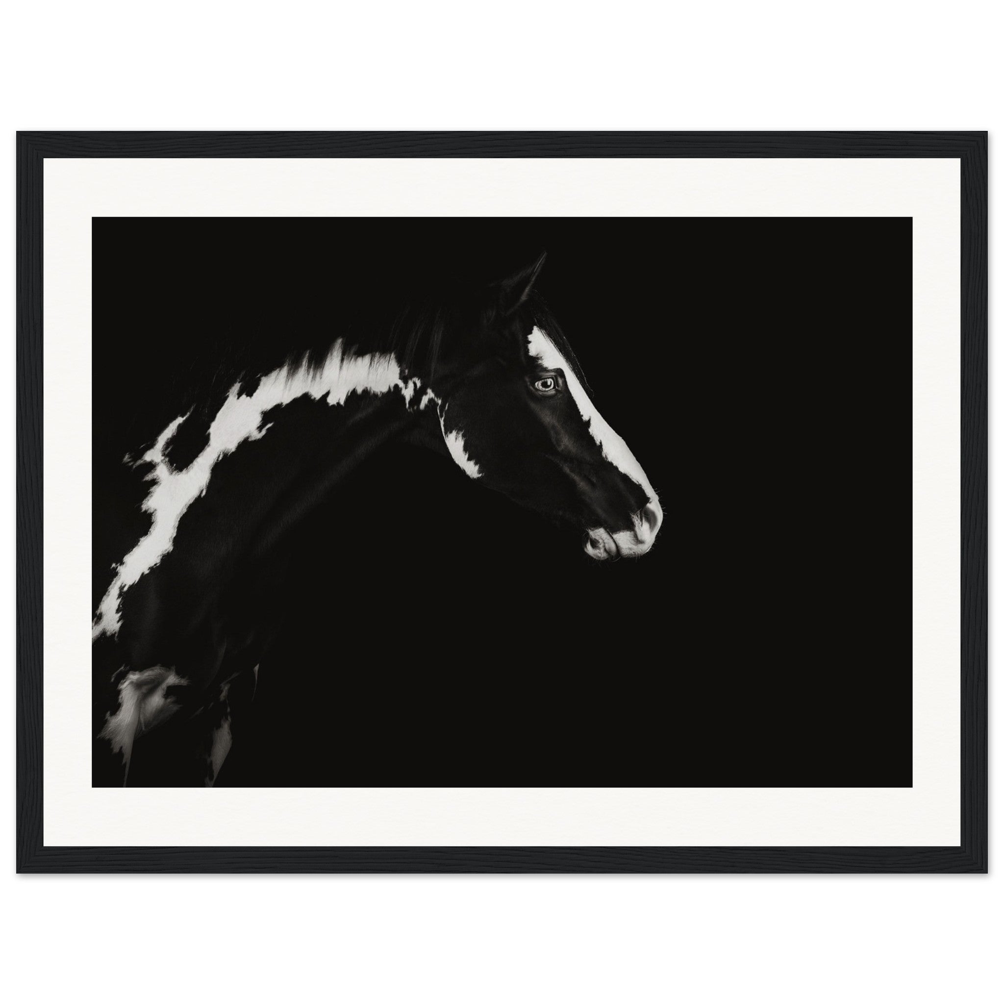 36661805-1fd4-4037-ab79-93154d79c019