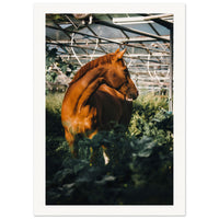 366662a2-c5d5-4a41-b726-4a383a217a91