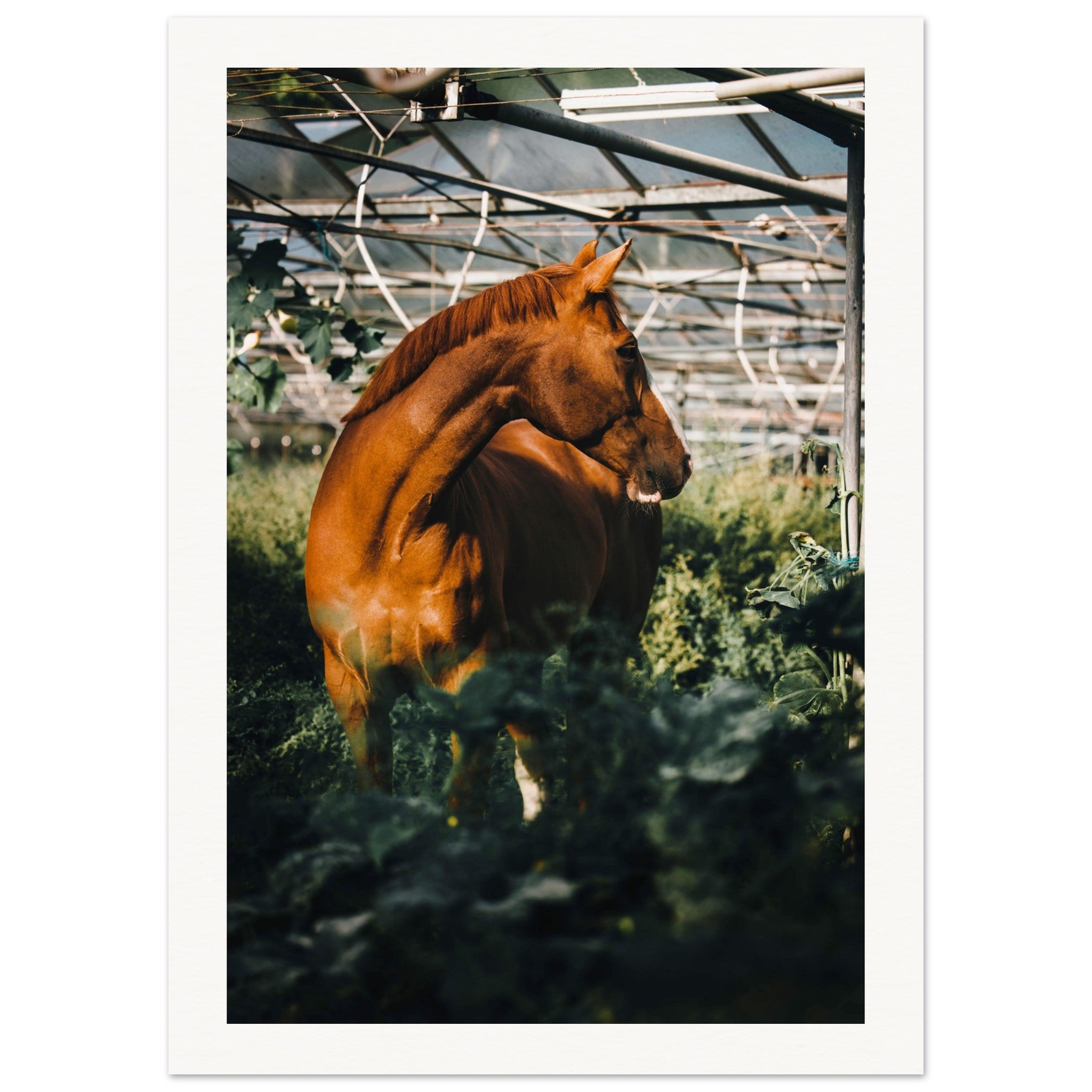 366662a2-c5d5-4a41-b726-4a383a217a91