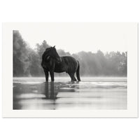 3668d7db-52a9-4159-af26-553b61485b2b