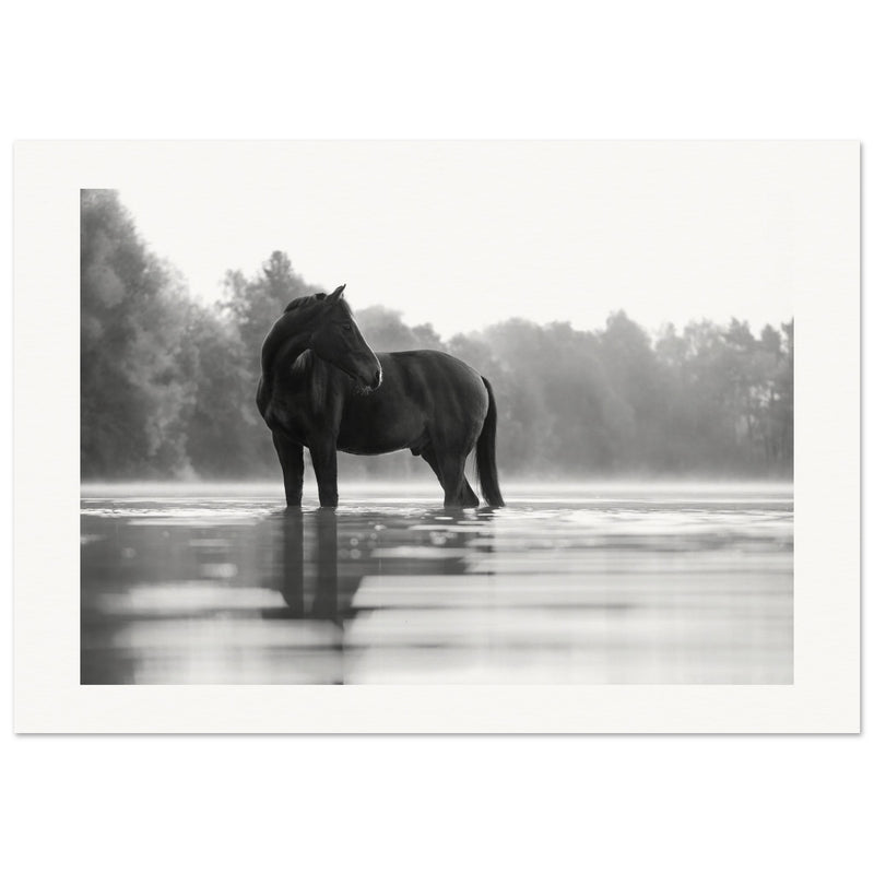 3668d7db-52a9-4159-af26-553b61485b2b