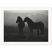 36772226-5945-42c2-a0f7-888d1abc4c05