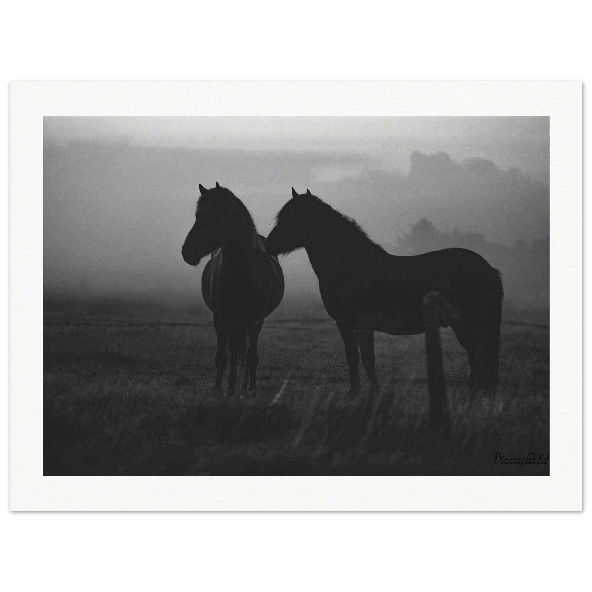 36772226-5945-42c2-a0f7-888d1abc4c05