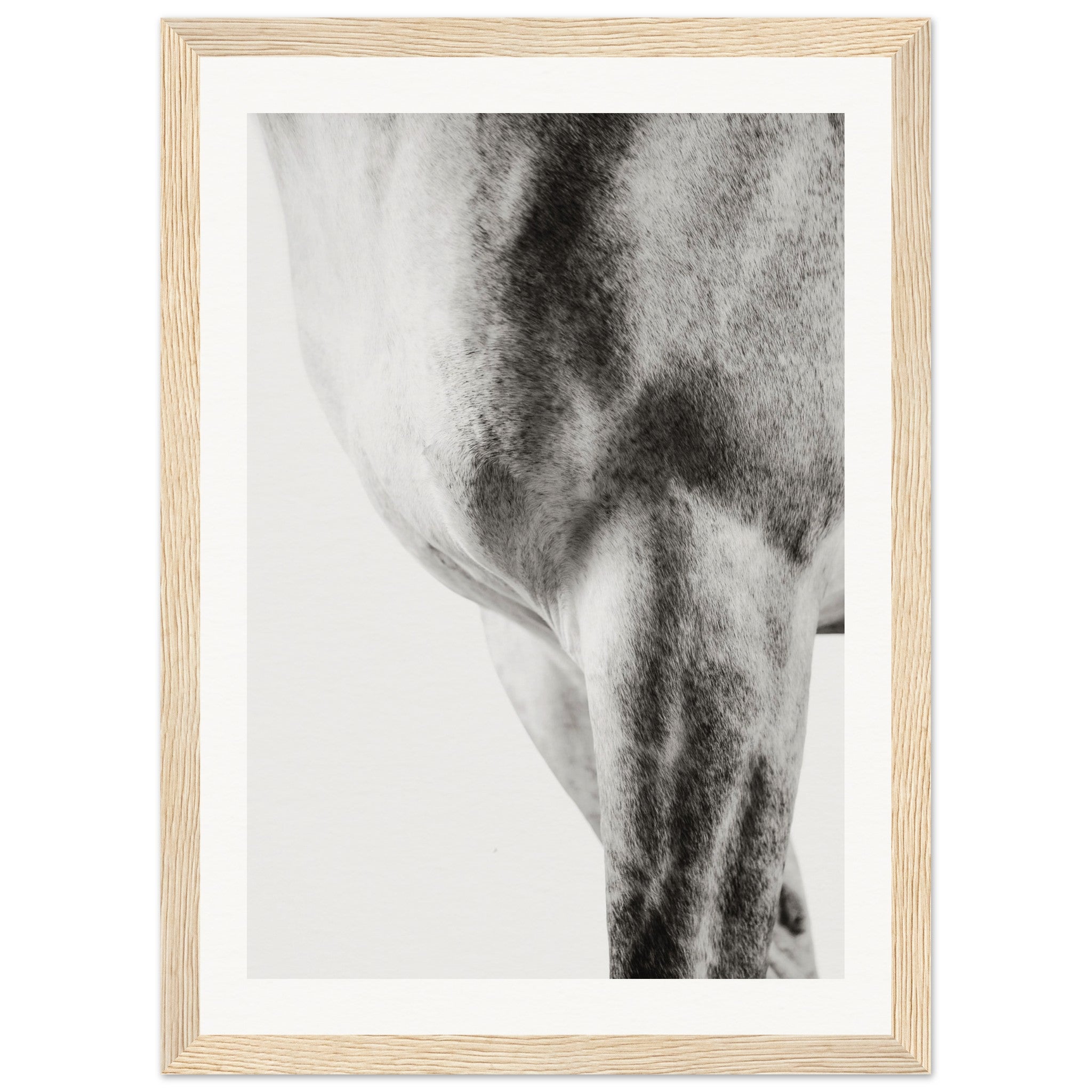 36dbc282-ab00-4304-af27-20486a64b46b