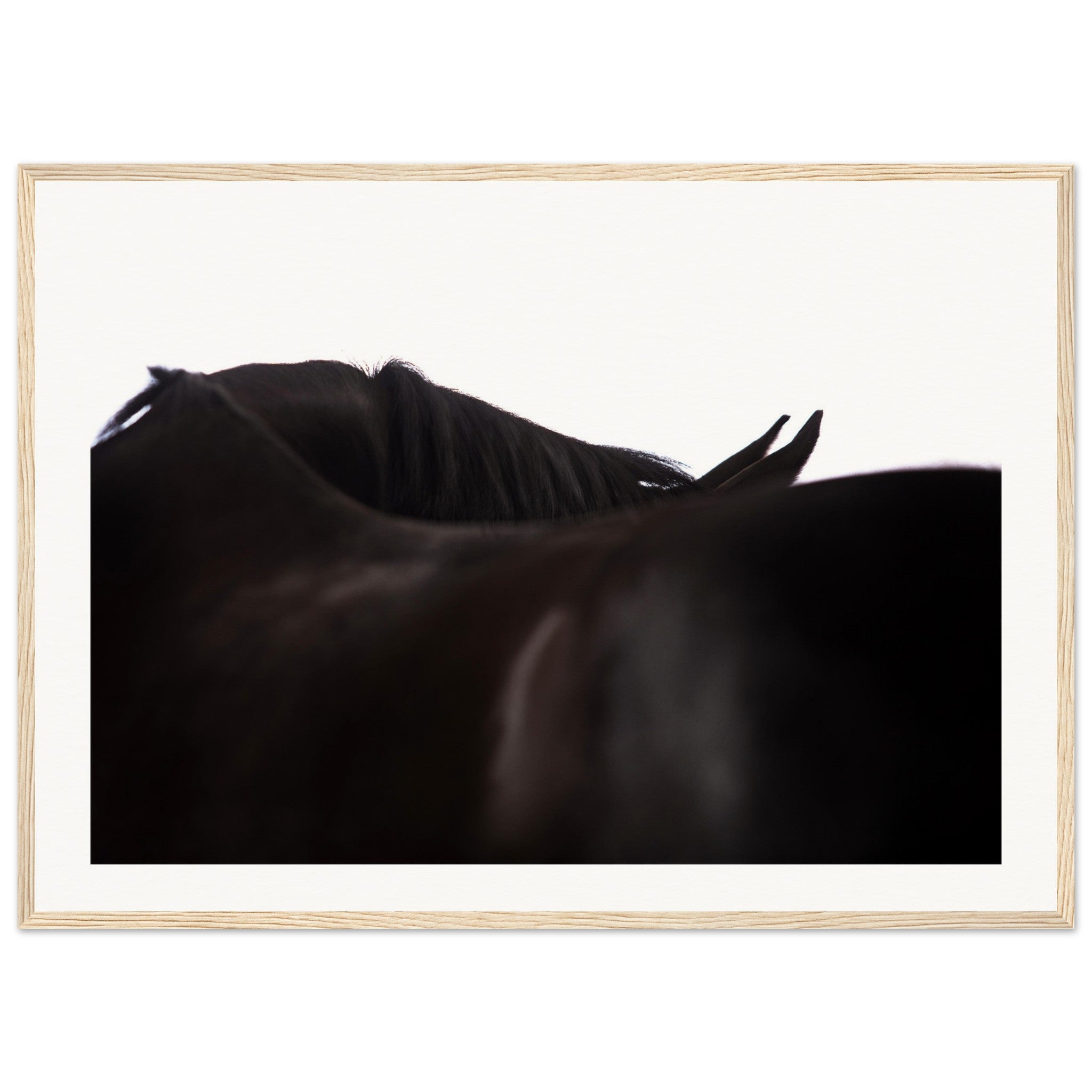 36e32220-ae2b-48c6-b19f-78890c73284a