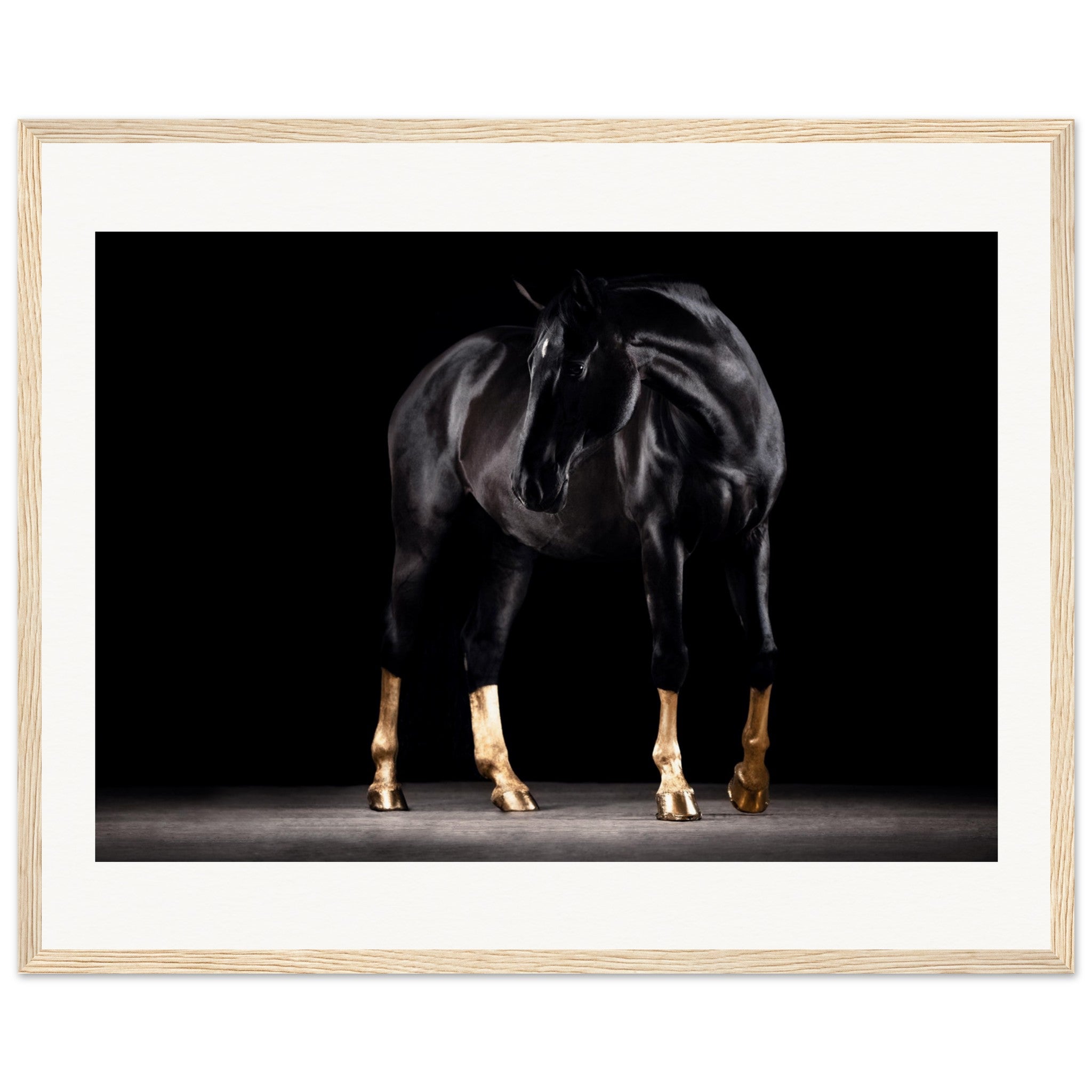 36f0028d-7dec-43f9-a97b-f23ad4db8b57