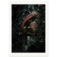 36fee50d-fc20-4b90-bca3-c7f529339d68