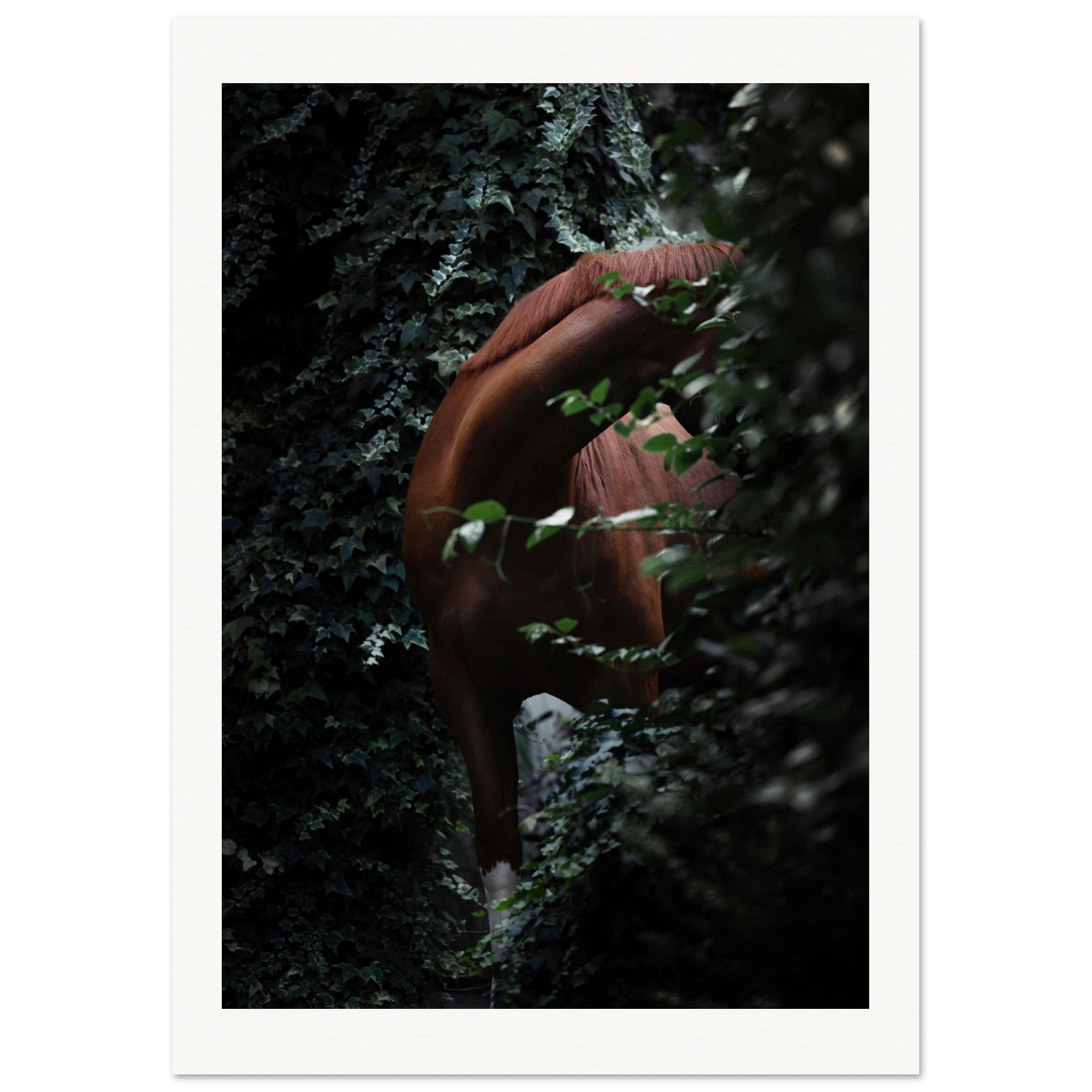 36fee50d-fc20-4b90-bca3-c7f529339d68