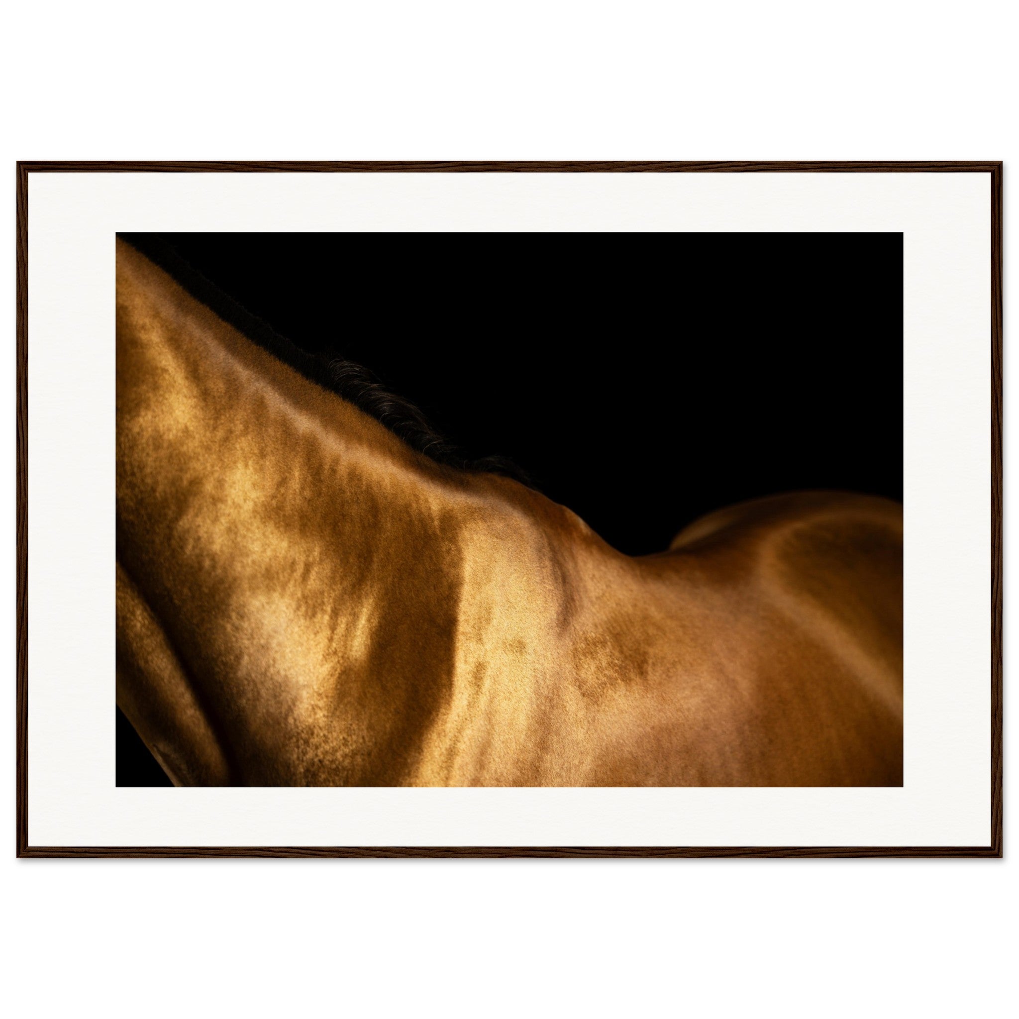 370277a2-c38f-4a00-a02a-67a9dbd6713c