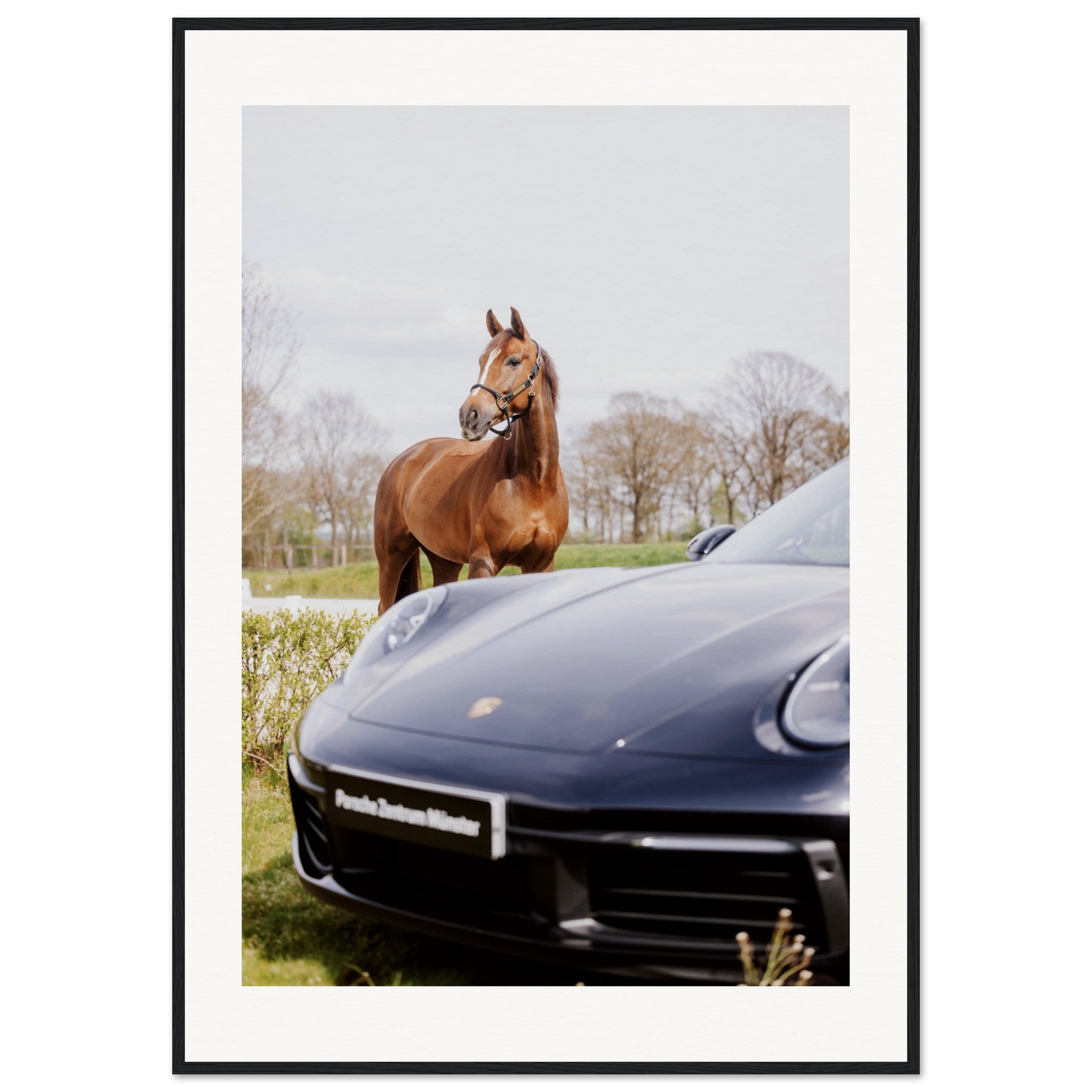 3713827f-4faf-449b-9189-6c4d004346b9