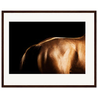 372a83c2-32f2-44d5-8ee4-452d431d6c40