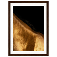 374519cd-26ee-4f48-b331-ab254f4b9012