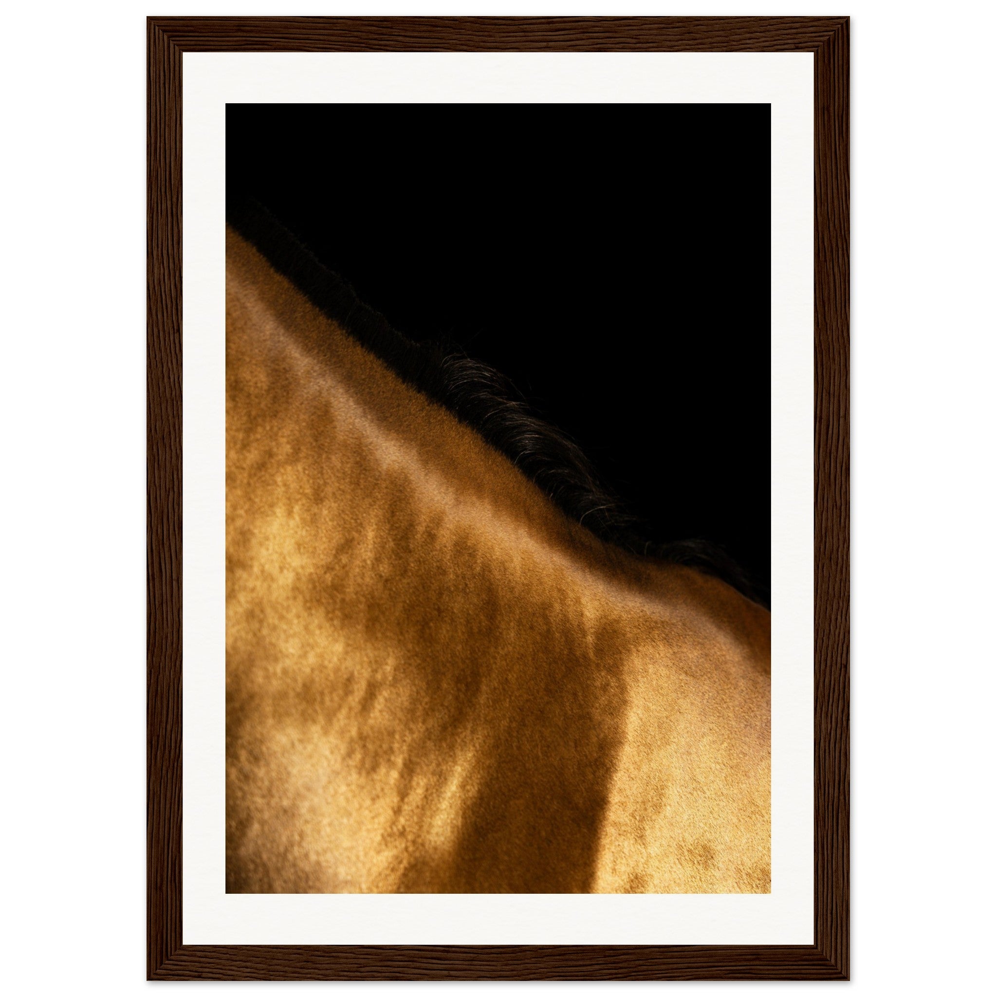 374519cd-26ee-4f48-b331-ab254f4b9012