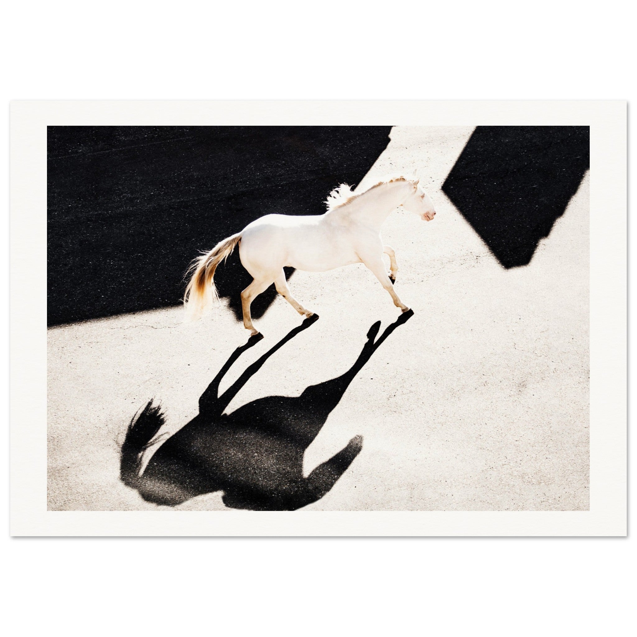 375cefd2-5b20-4526-b6c9-2d437a793bf7