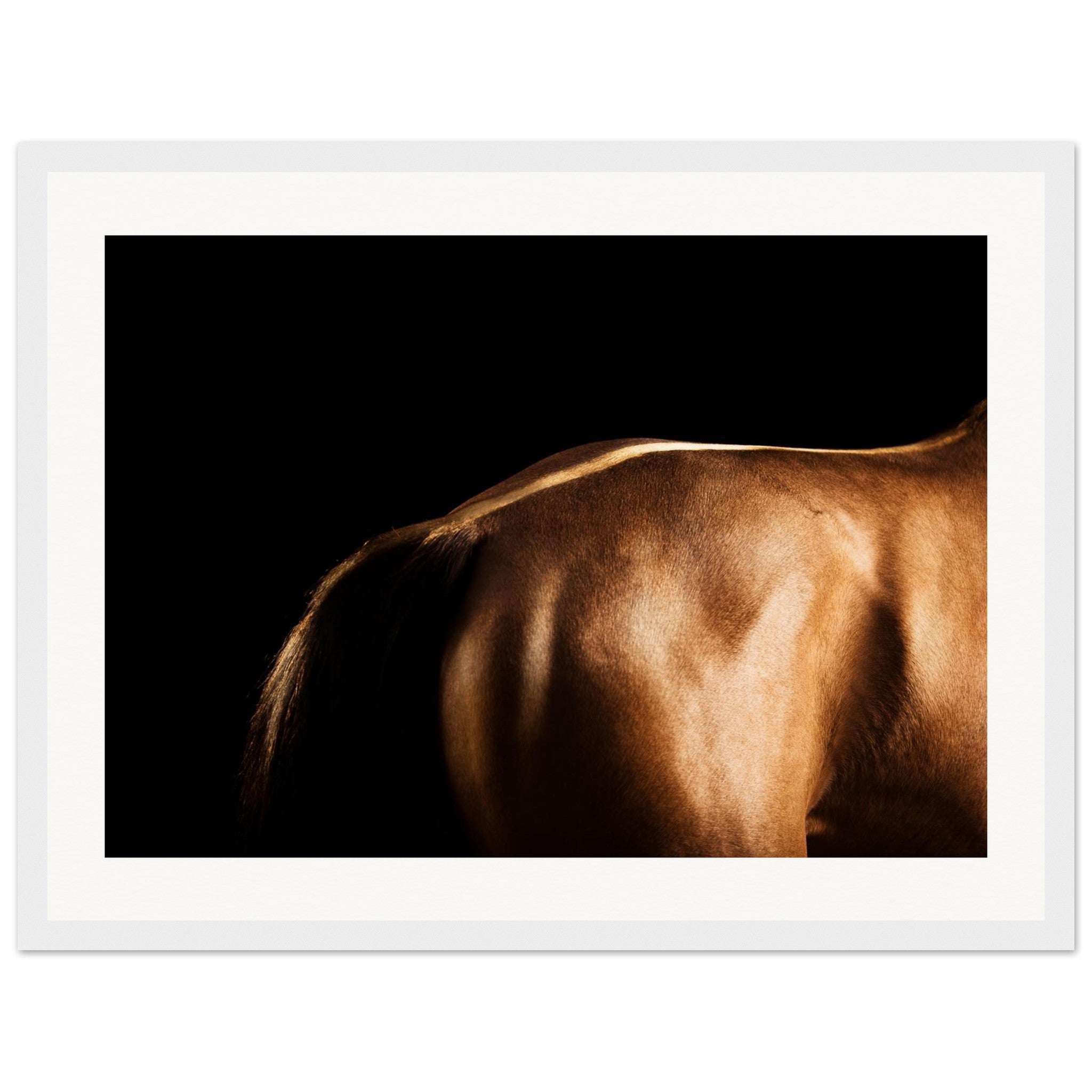 379aa019-6c33-447a-8c11-f658262a53e1