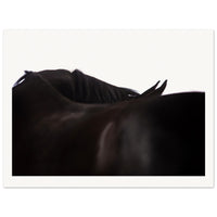 37b776ef-9c2c-4b7f-9c3a-239bad4e3000