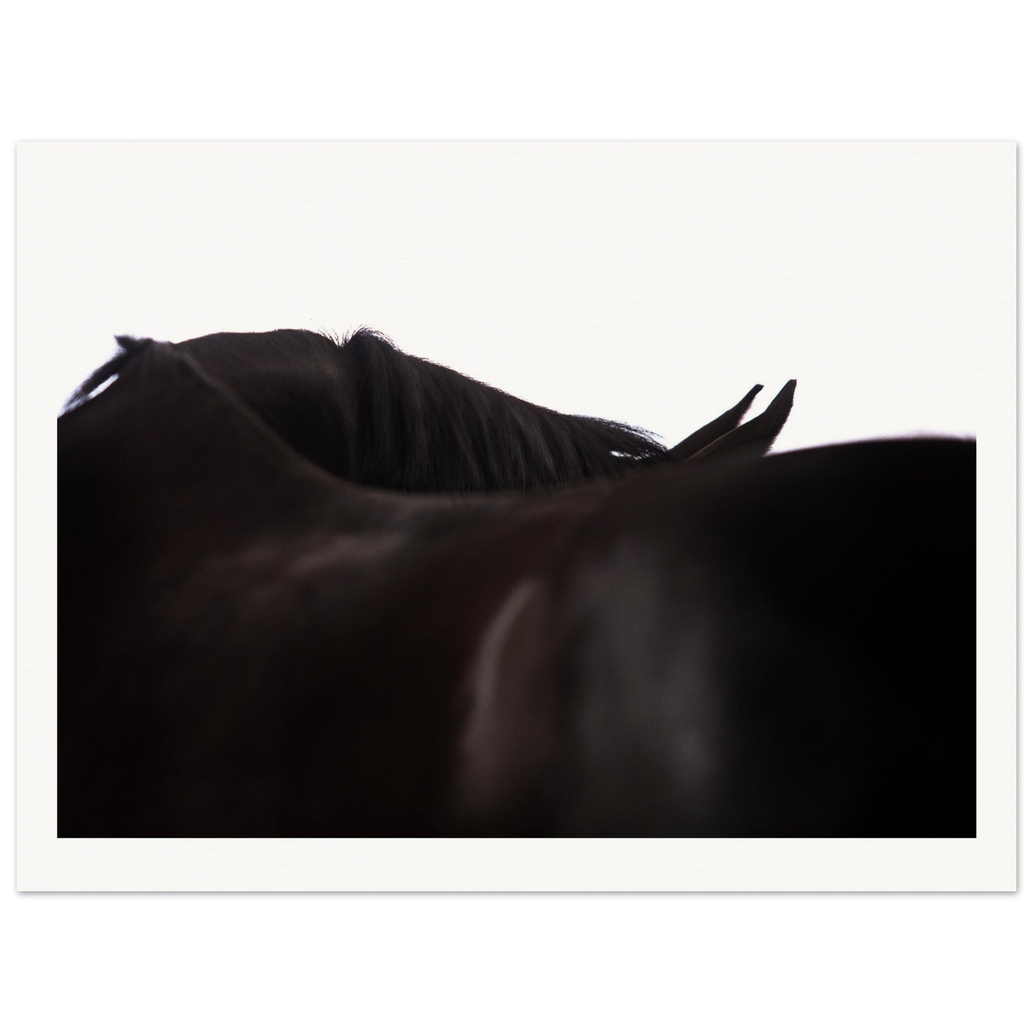 37b776ef-9c2c-4b7f-9c3a-239bad4e3000