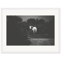 37b90ec4-e045-416a-b8ec-2de9301c1214