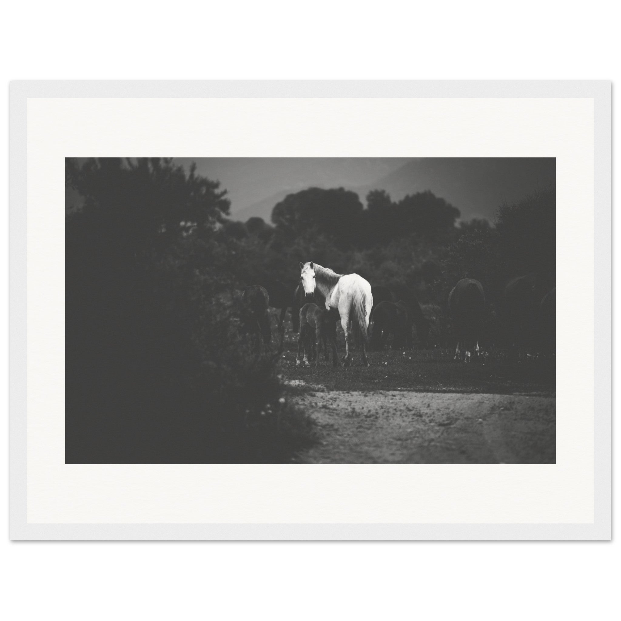 37b90ec4-e045-416a-b8ec-2de9301c1214