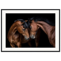 37d5e547-e965-434d-adfa-61fc6d13c1da