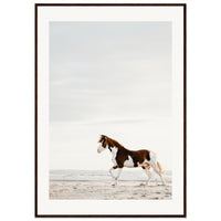 3827a409-73d8-44db-b156-cccb75c374b3