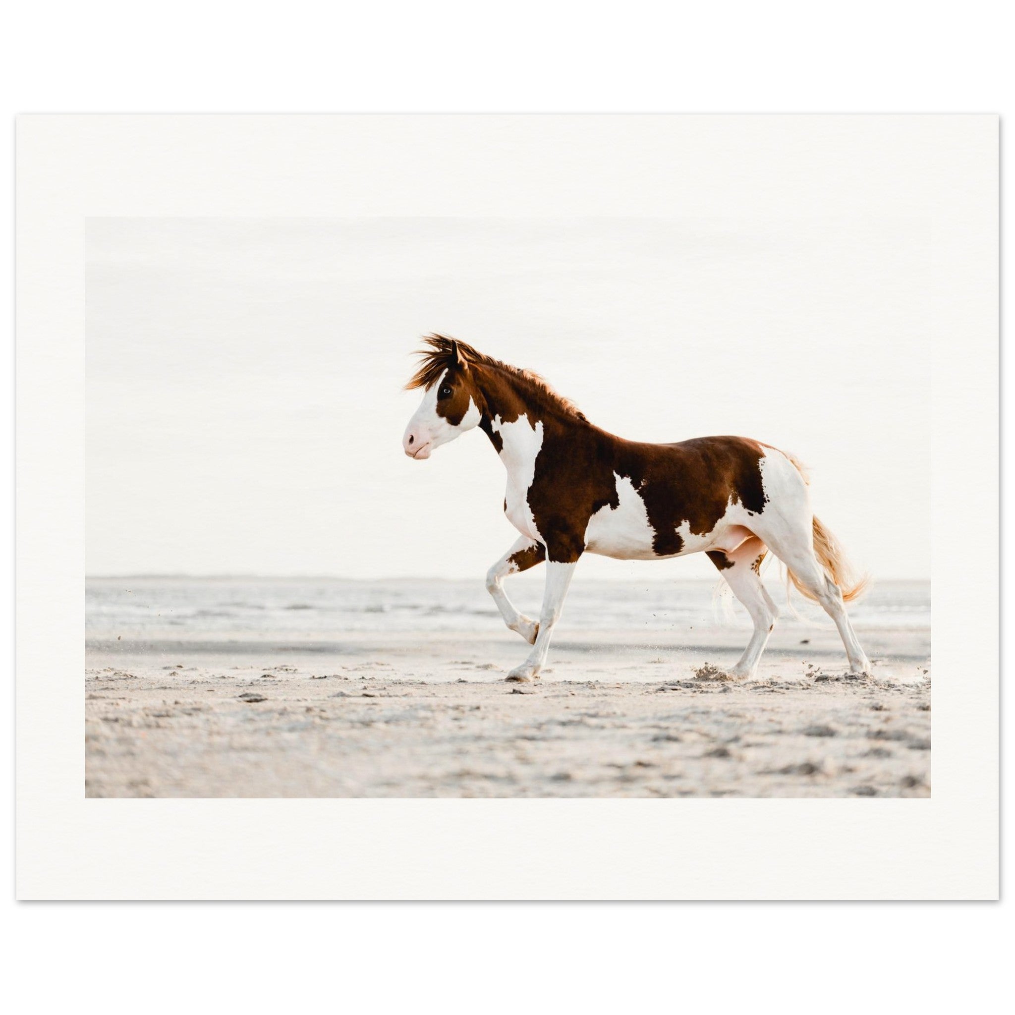 384a316f-645a-4d06-bebc-c3f8d51f9984