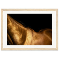 386b8d75-ae93-423e-a988-699b97f1ef04