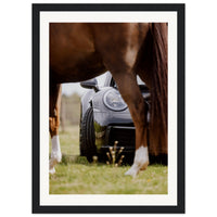 3875dedd-29ca-4de5-bd19-6b75b2e6d1f4