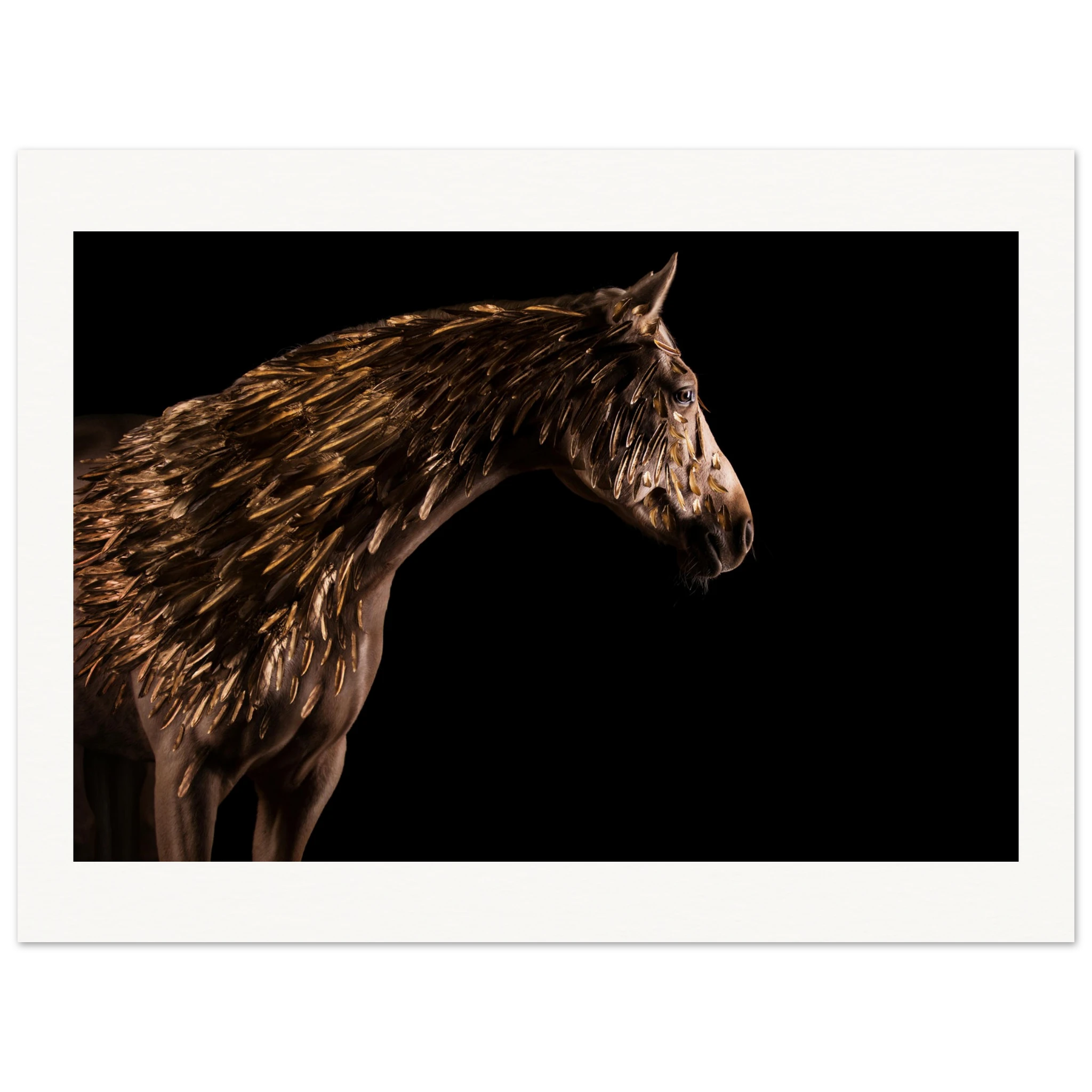 38a2953f-a975-4a59-bb79-44876695249b