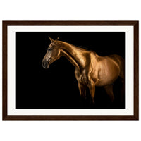 38f334c0-7a5d-4082-aa5c-c71b1b697db7