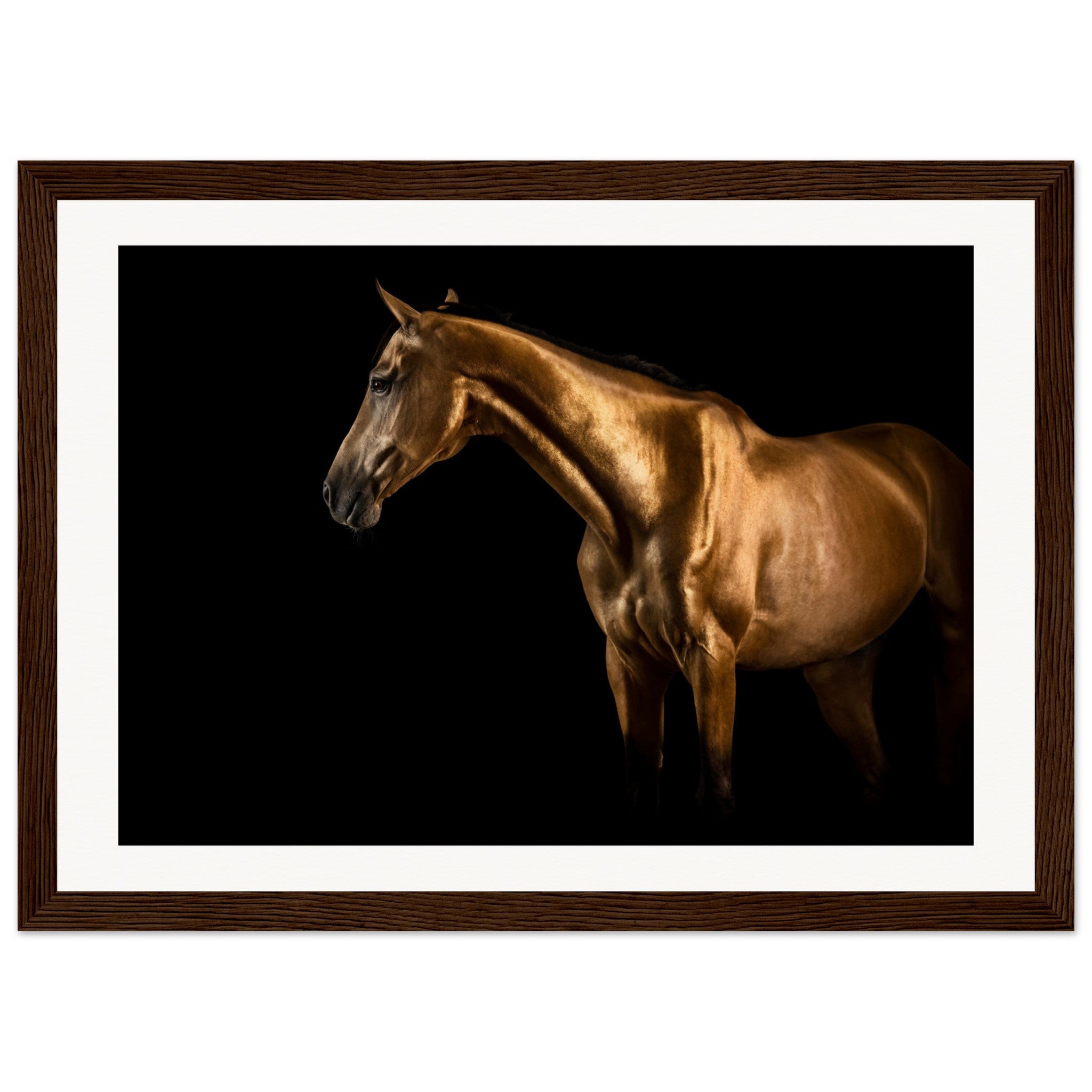 38f334c0-7a5d-4082-aa5c-c71b1b697db7