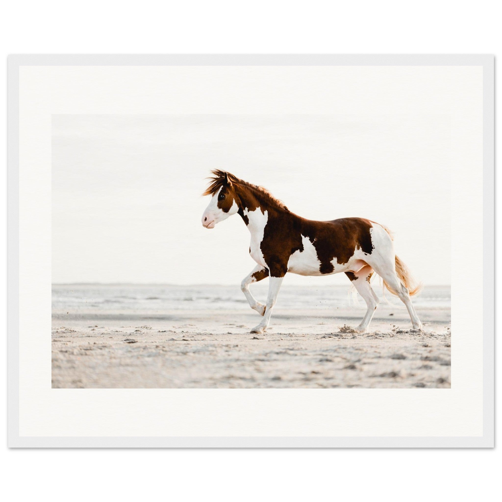 3921c76d-dee0-45f5-b75f-2b2ff515e247