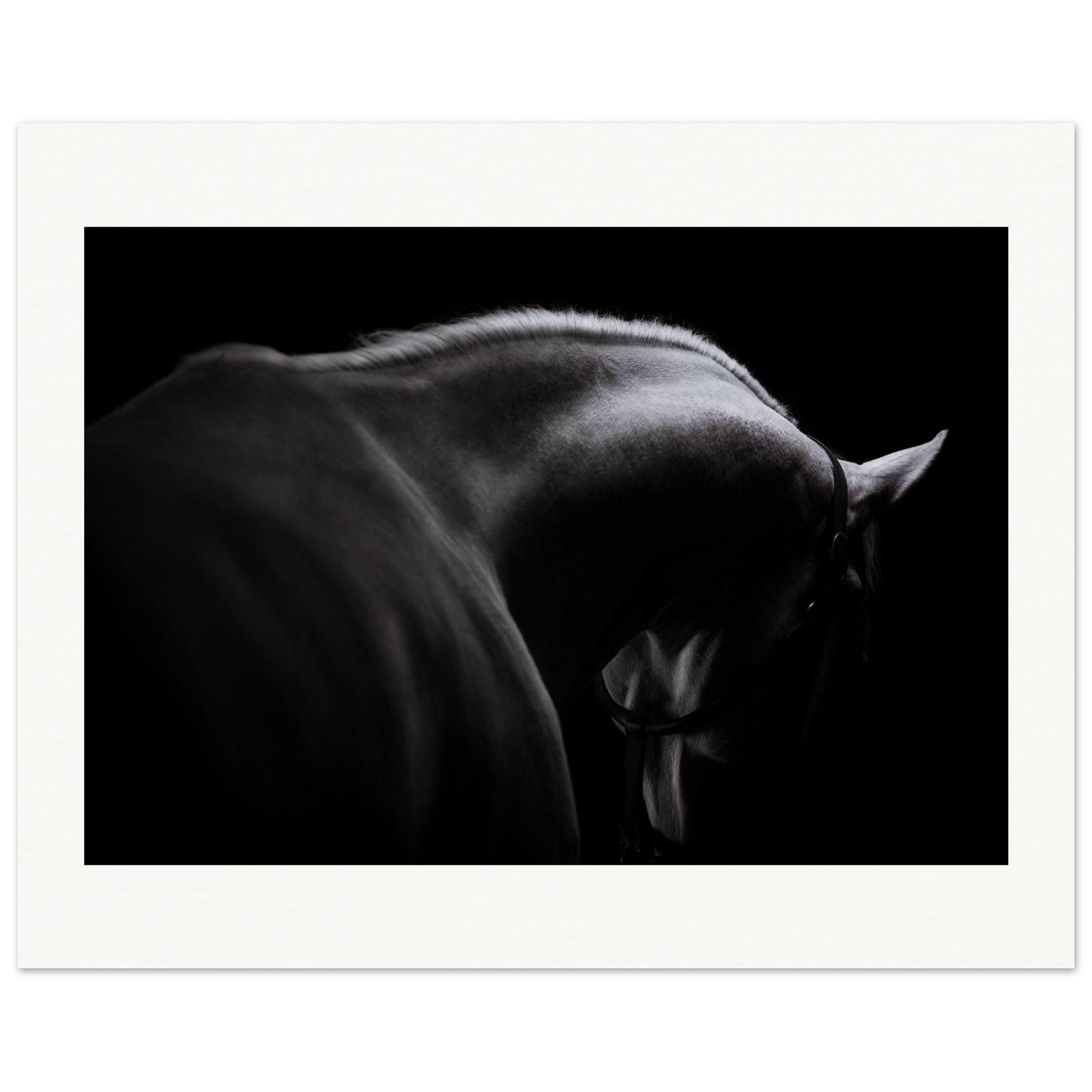 3929e201-4d00-47dd-94fd-a4db24bb8e66