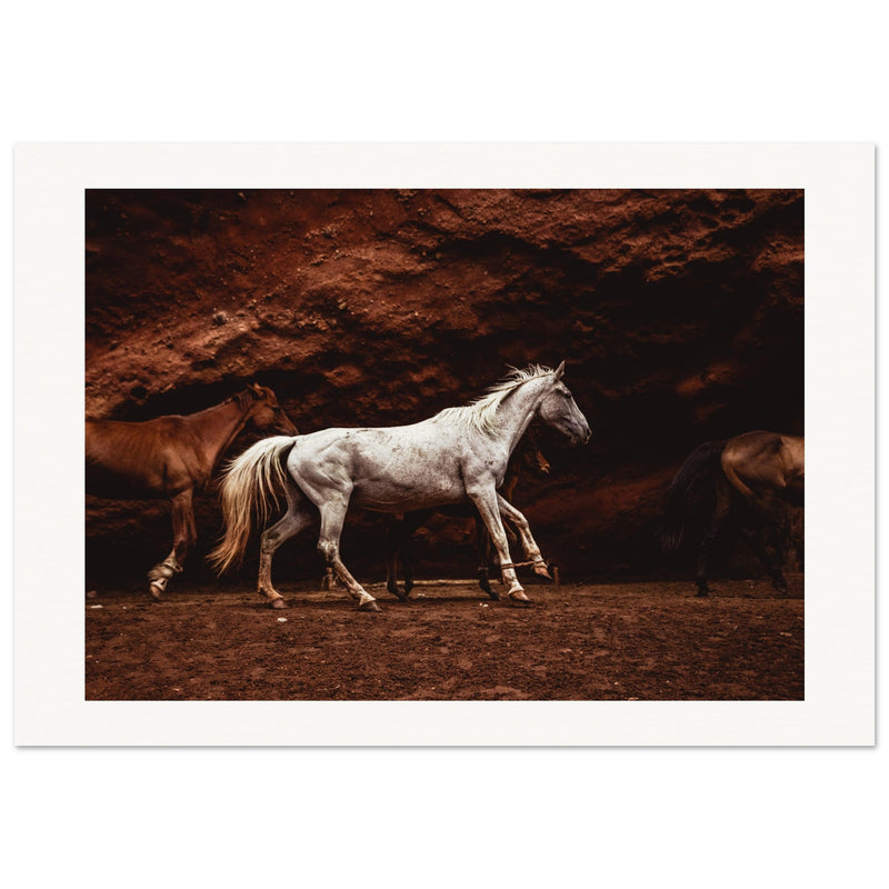 393736ac-7693-4e0e-9f65-46b1643e3b62