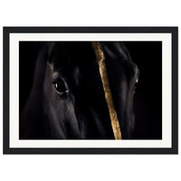 393d9deb-007d-4f0c-9ff5-9701e9acf65c