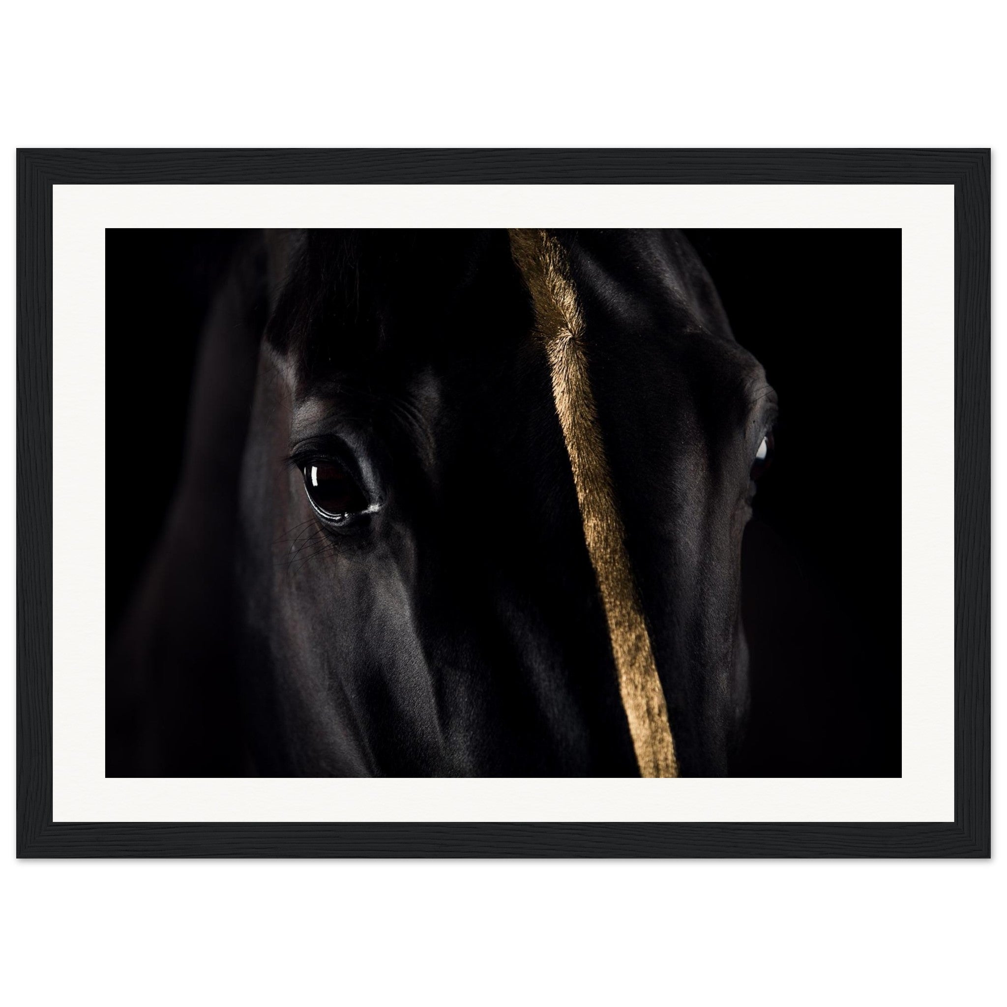 393d9deb-007d-4f0c-9ff5-9701e9acf65c