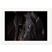 3956bf58-1512-4568-9bf5-48e185501c0f