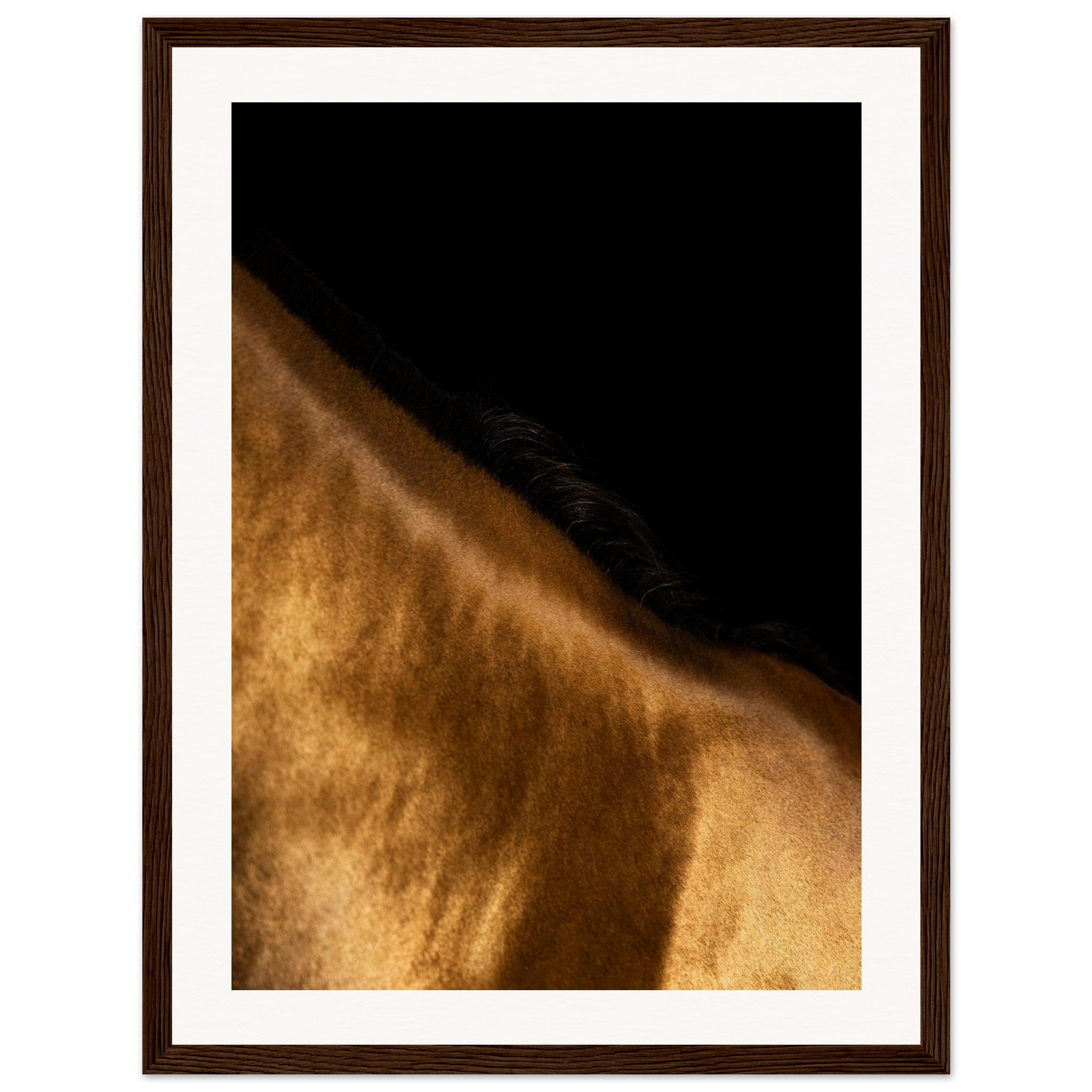 3992d874-6e84-4bce-afdd-fb2ea406d001